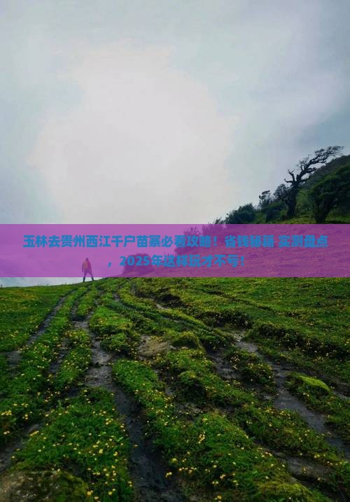 玉林去贵州西江千户苗寨必去地