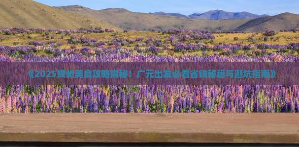 广元到贵州旅游小吃