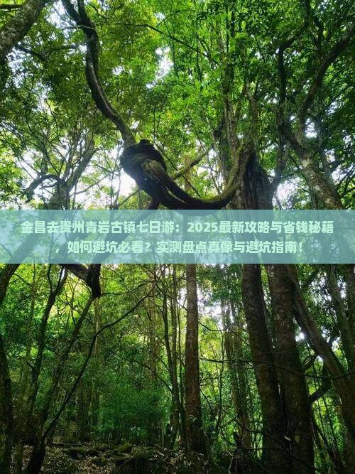 金昌去贵州青岩古镇七日游