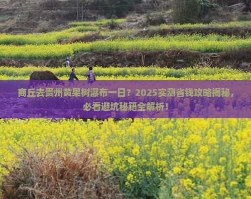 商丘去贵州黄果树瀑布一日