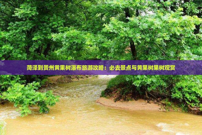 菏泽到贵州黄果树瀑布必去地