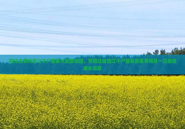 阳江去贵州西江千户苗寨大型旅游团