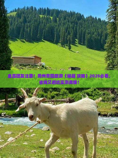 金昌去贵州贵阳团体旅游