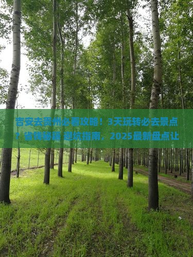 吉安去贵州攻略