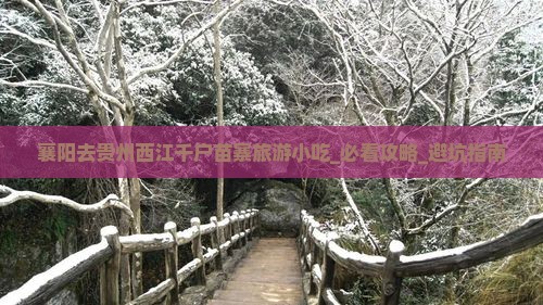 襄阳去贵州西江千户苗寨旅游小吃