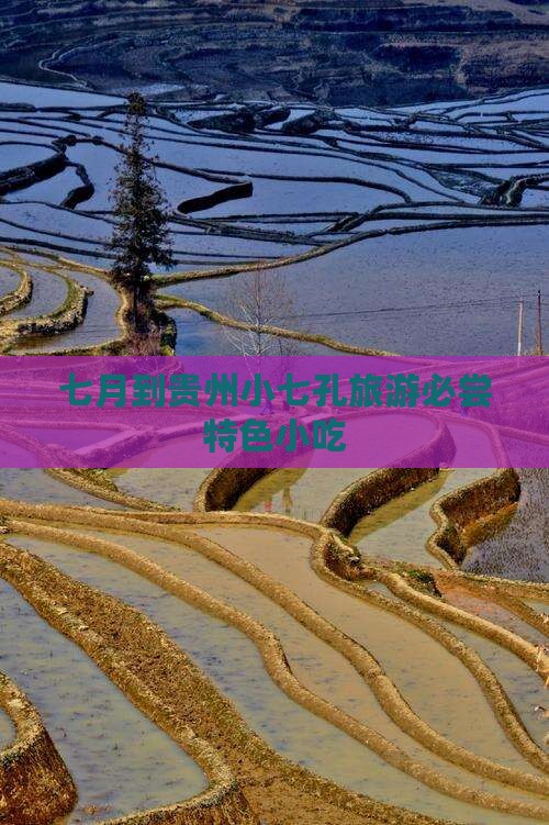 七月到贵州小七孔旅游必尝特色小吃