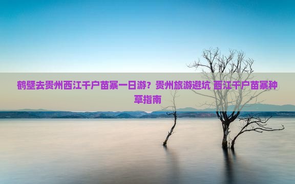 鹤壁去贵州西江千户苗寨一日游?贵州旅游避坑+西江千户苗寨种草指南 鹤壁去贵州西江千户苗寨一日游?贵州旅游避坑+西江千户苗寨种草指南