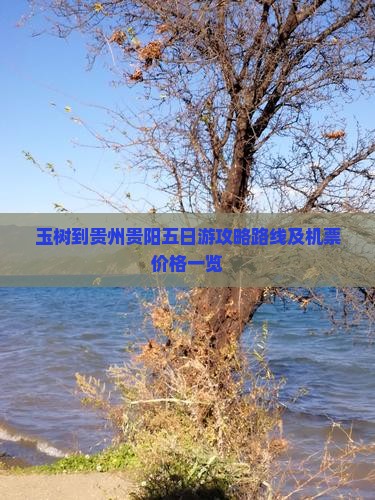 玉树到贵州贵阳五日游攻略路线及机票价格一览