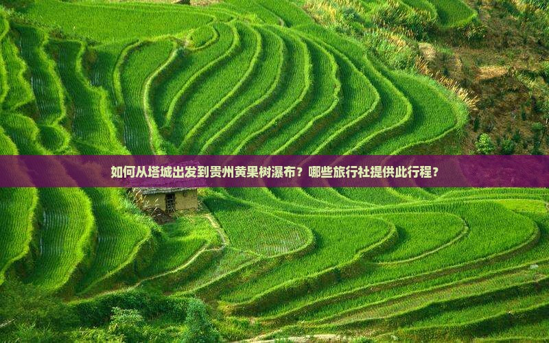 如何从塔城出发到贵州黄果树瀑布？哪些旅行社提供此行程？