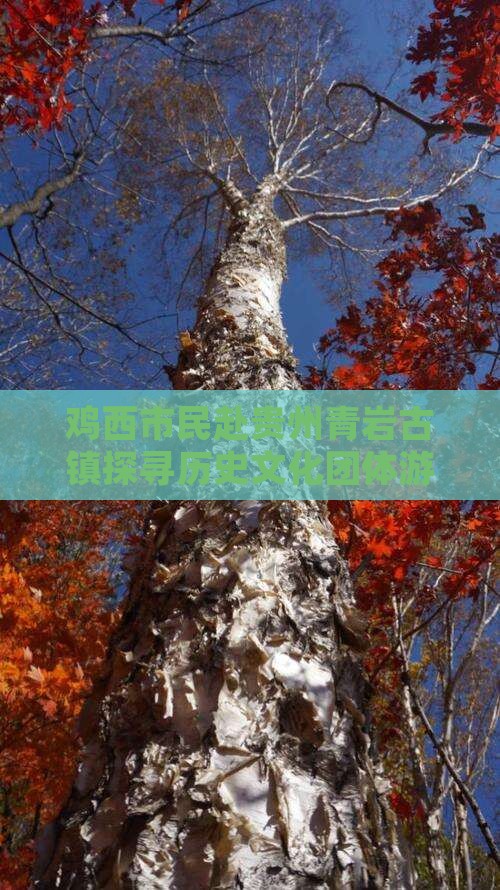 鸡西市民赴贵州青岩古镇探寻历史文化团体游