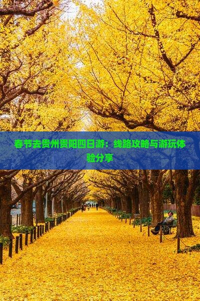 春节去贵州贵阳四日游：线路攻略与游玩体验分享