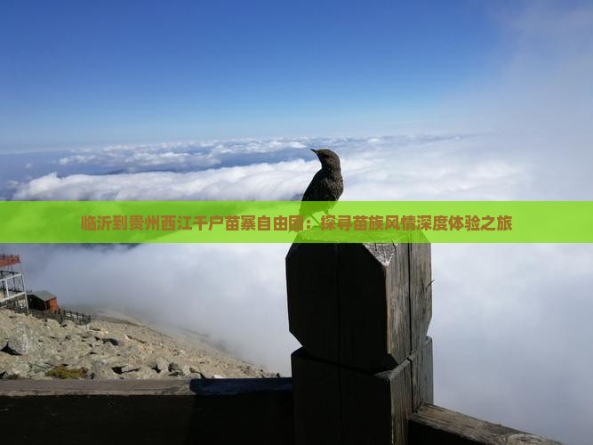 临沂到贵州西江千户苗寨自由团：探寻苗族风情深度体验之旅