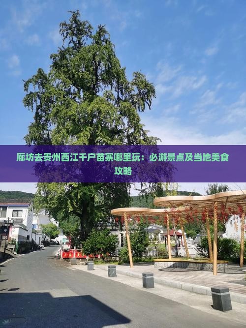 廊坊去贵州西江千户苗寨哪里玩：必游景点及当地美食攻略