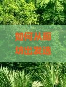 如何从廊坊出发选择旅行社前往贵州青岩古镇，解决交通与住宿痛点？