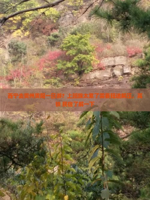西宁去贵州贵阳一日游？上班族太累了需要短途解压，高铁+民宿了解一下