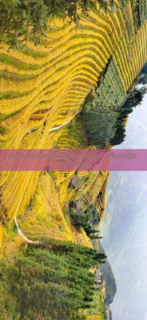 雅安到贵州青岩古镇五日游？行程太赶？不如试试高铁+露营新模式！