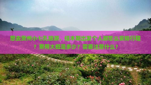 想去贵州小七孔旅游，佳木斯出发个人游怎么安排行程？费用大概是多少？需要注意什么？