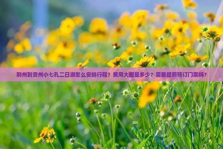 荆州到贵州小七孔二日游怎么安排行程？费用大概是多少？需要提前预订门票吗？