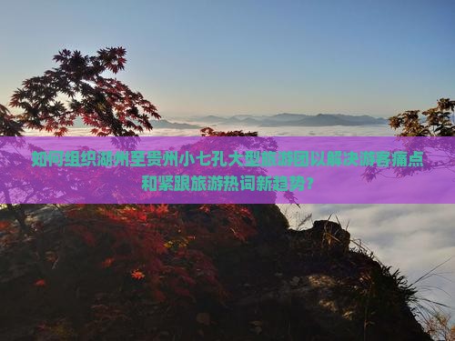如何组织湖州至贵州小七孔大型旅游团以解决游客痛点和紧跟旅游热词新趋势？
