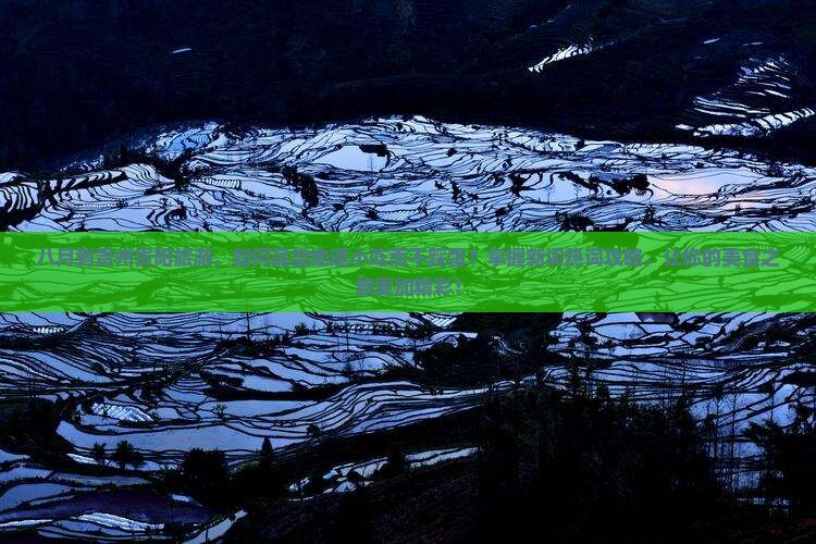 八月到贵州贵阳旅游，如何品尝地道小吃而不踩雷？掌握新词热词攻略，让你的美食之旅更加精彩！