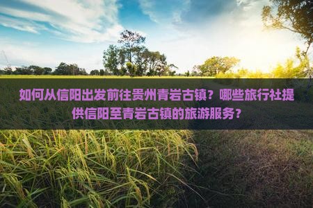 如何从信阳出发前往贵州青岩古镇？哪些旅行社提供信阳至青岩古镇的旅游服务？