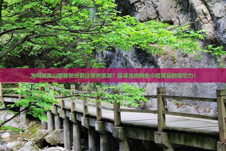 为何武夷山游客纷纷前往贵州旅游？探寻当地特色小吃背后的吸引力！