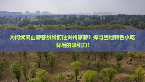 为何武夷山游客纷纷前往贵州旅游？探寻当地特色小吃背后的吸引力！