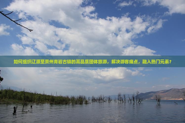 如何组织辽源至贵州青岩古镇的高品质团体旅游，解决游客痛点，融入热门元素？
