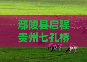 鄢陵县启程贵州七孔桥四日深度游