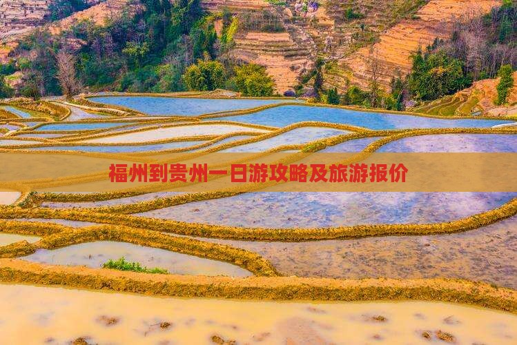 福州到贵州一日游攻略及旅游报价