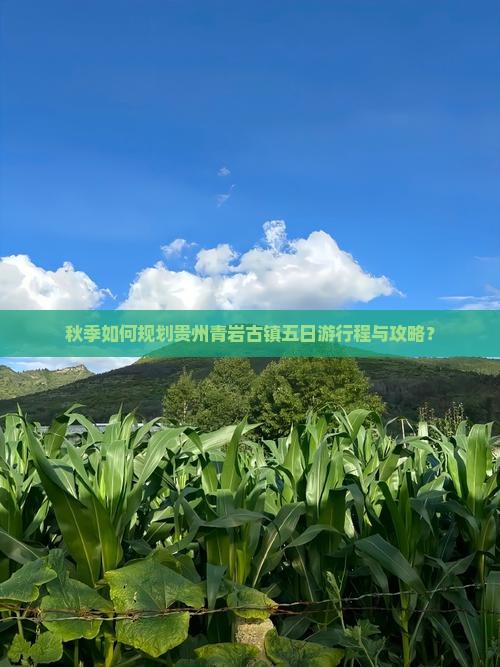 秋季如何规划贵州青岩古镇五日游行程与攻略？