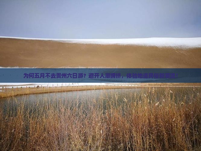 为何五月不去贵州六日游？避开人潮拥挤，体验地道民俗新潮流！