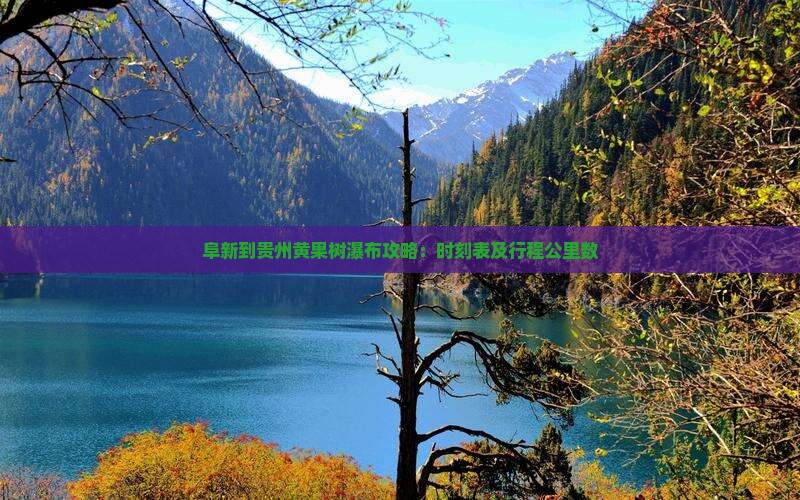 阜新到贵州黄果树瀑布攻略：时刻表及行程公里数