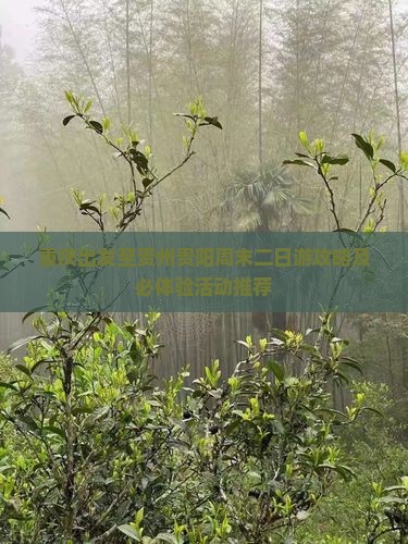 重庆出发至贵州贵阳周末二日游攻略及必体验活动推荐
