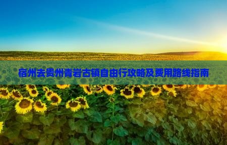 宿州去贵州青岩古镇自由行攻略及费用路线指南