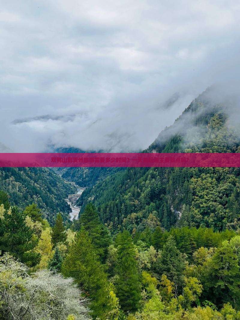 双鸭山到贵州旅游需要多少时间？一天能玩遍主要景点吗？