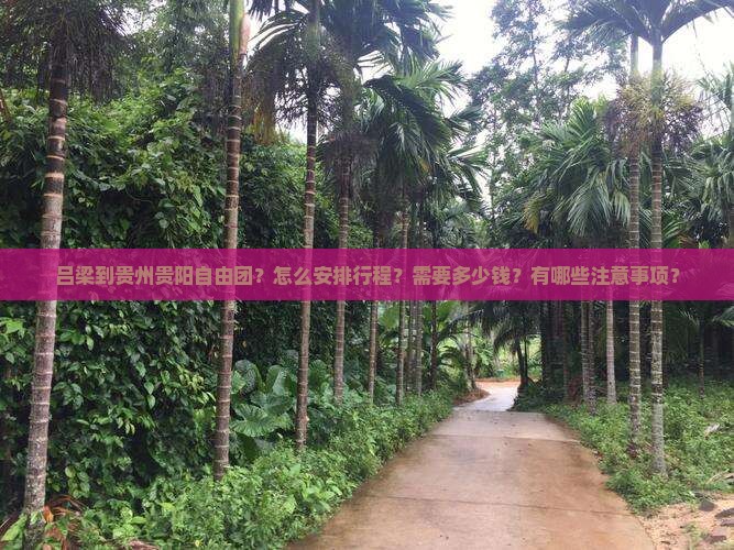 吕梁到贵州贵阳自由团？怎么安排行程？需要多少钱？有哪些注意事项？