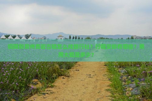铜陵到贵州青岩古镇怎么找旅行社？行程安排有哪些？费用大概是多少？