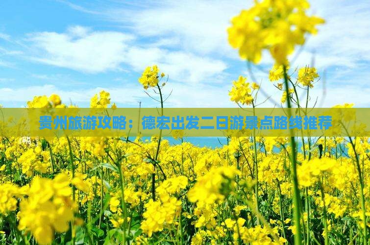 贵州旅游攻略：德宏出发二日游景点路线推荐