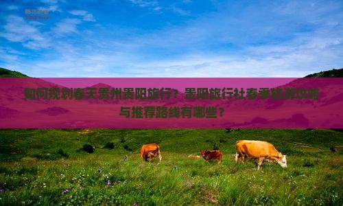 如何规划春天贵州贵阳旅行？贵阳旅行社春季旅游攻略与推荐路线有哪些？