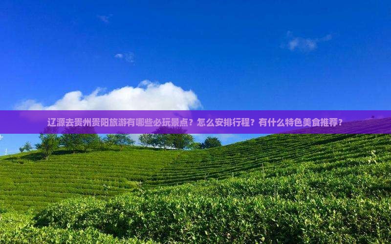 辽源去贵州贵阳旅游有哪些必玩景点？怎么安排行程？有什么特色美食推荐？