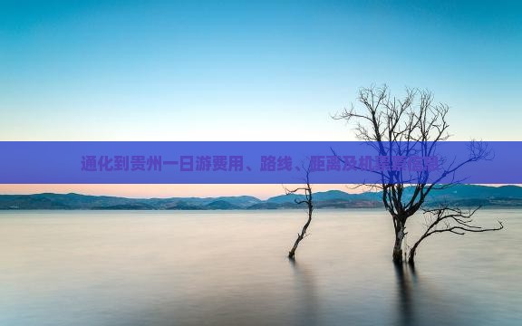 通化到贵州一日游费用、路线、距离及机票票信息