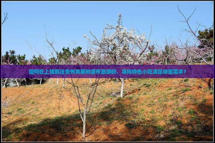 如何在上饶前往贵州黄果树瀑布旅游时，寻找特色小吃满足味蕾需求？