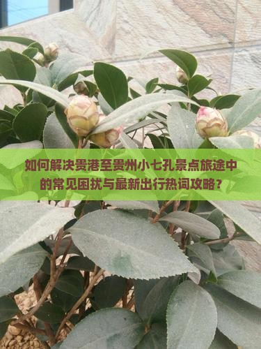 如何解决贵港至贵州小七孔景点旅途中的常见困扰与最新出行热词攻略？
