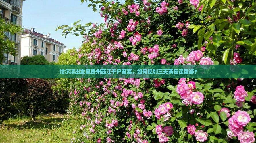 哈尔滨出发至贵州西江千户苗寨，如何规划三天两夜深度游？
