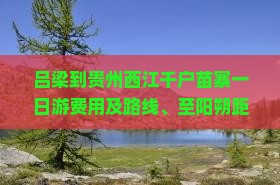 吕梁到贵州西江千户苗寨一日游费用及路线、至阳朔距离