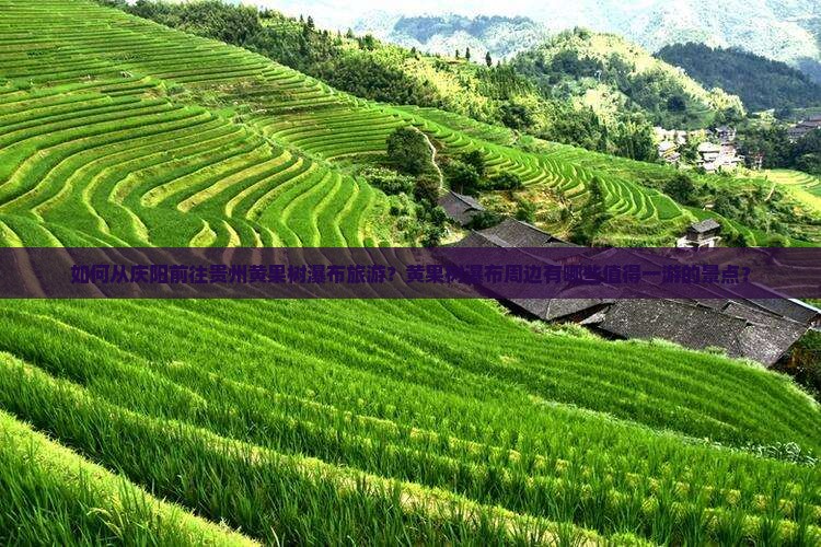 如何从庆阳前往贵州黄果树瀑布旅游？黄果树瀑布周边有哪些值得一游的景点？