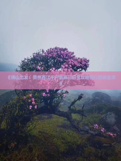 《佛山出发：贵州西江千户苗寨三日全攻略旅行路线全攻》