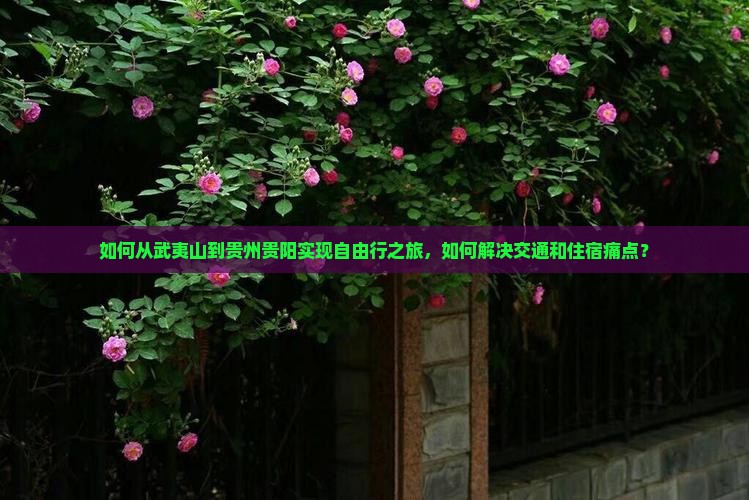 如何从武夷山到贵州贵阳实现自由行之旅，如何解决交通和住宿痛点？