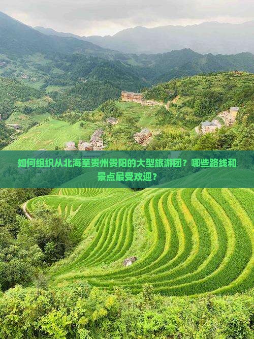 如何组织从北海至贵州贵阳的大型旅游团？哪些路线和景点最受欢迎？